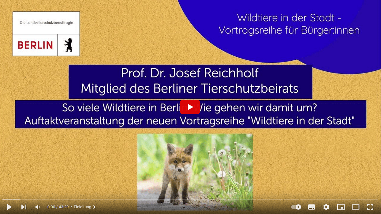 Videovortrag So viele Wildtiere in Berlin