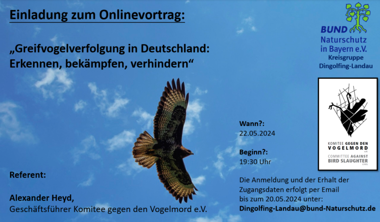 Einladung zum Onlinevortrag: Greifvogelverfolgung in Deutschland