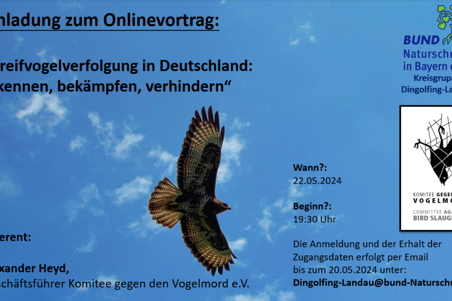 Einladung zum Onlinevortrag: Greifvogelverfolgung in Deutschland